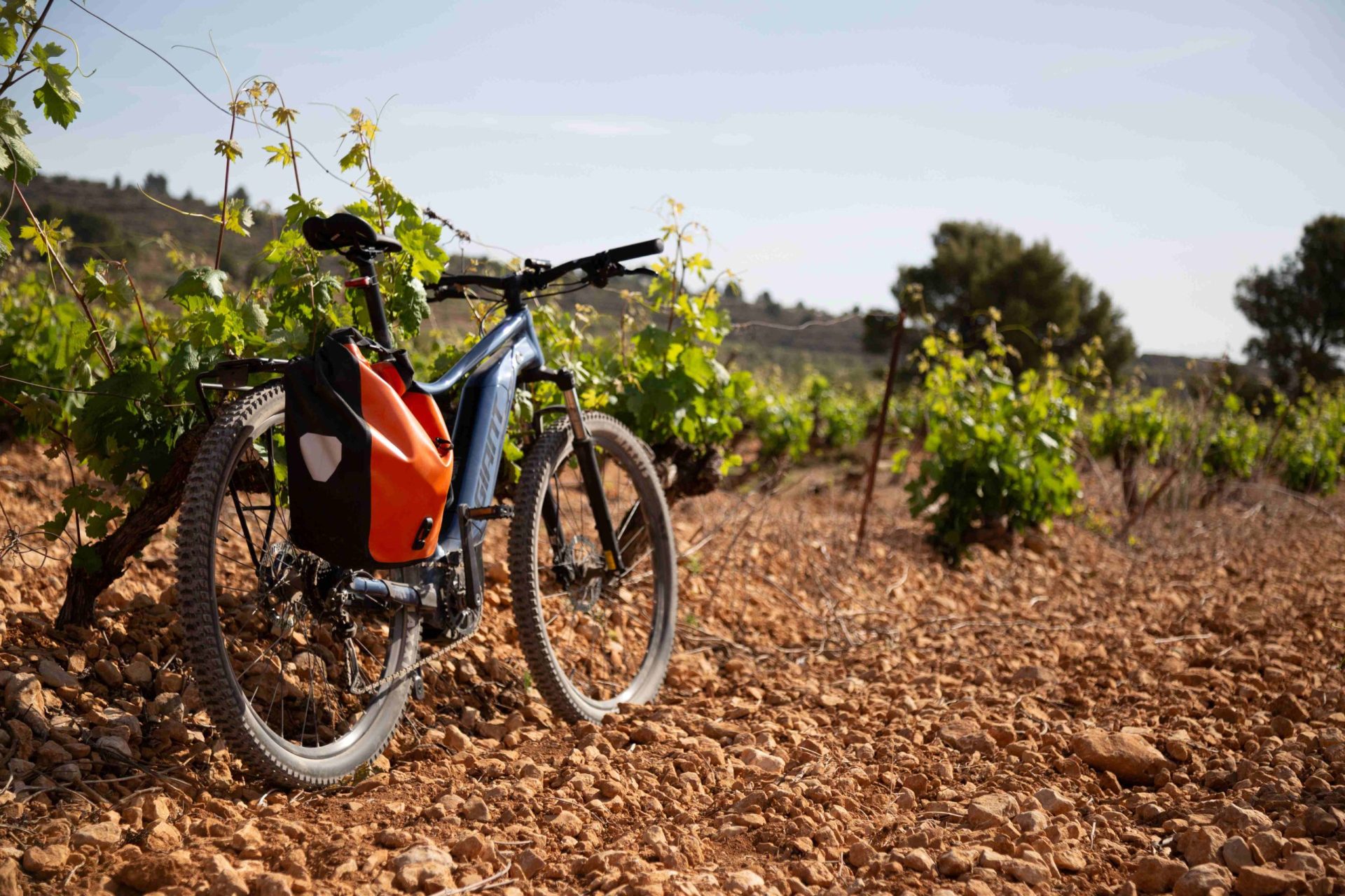 ebike cata de vinos winetasting 1920x1280